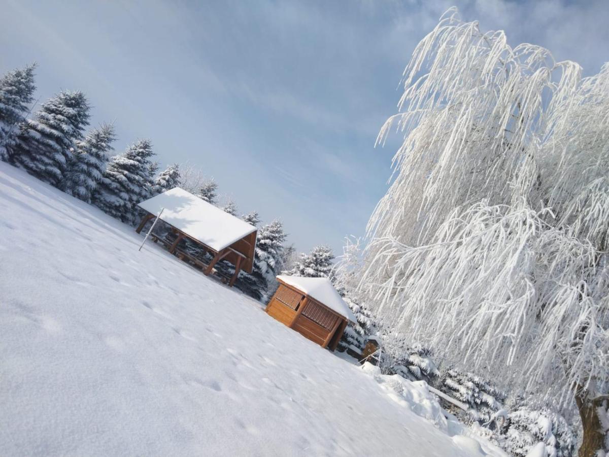 Agroturystyka Sajkiewicz Suchowola  Exteriér fotografie