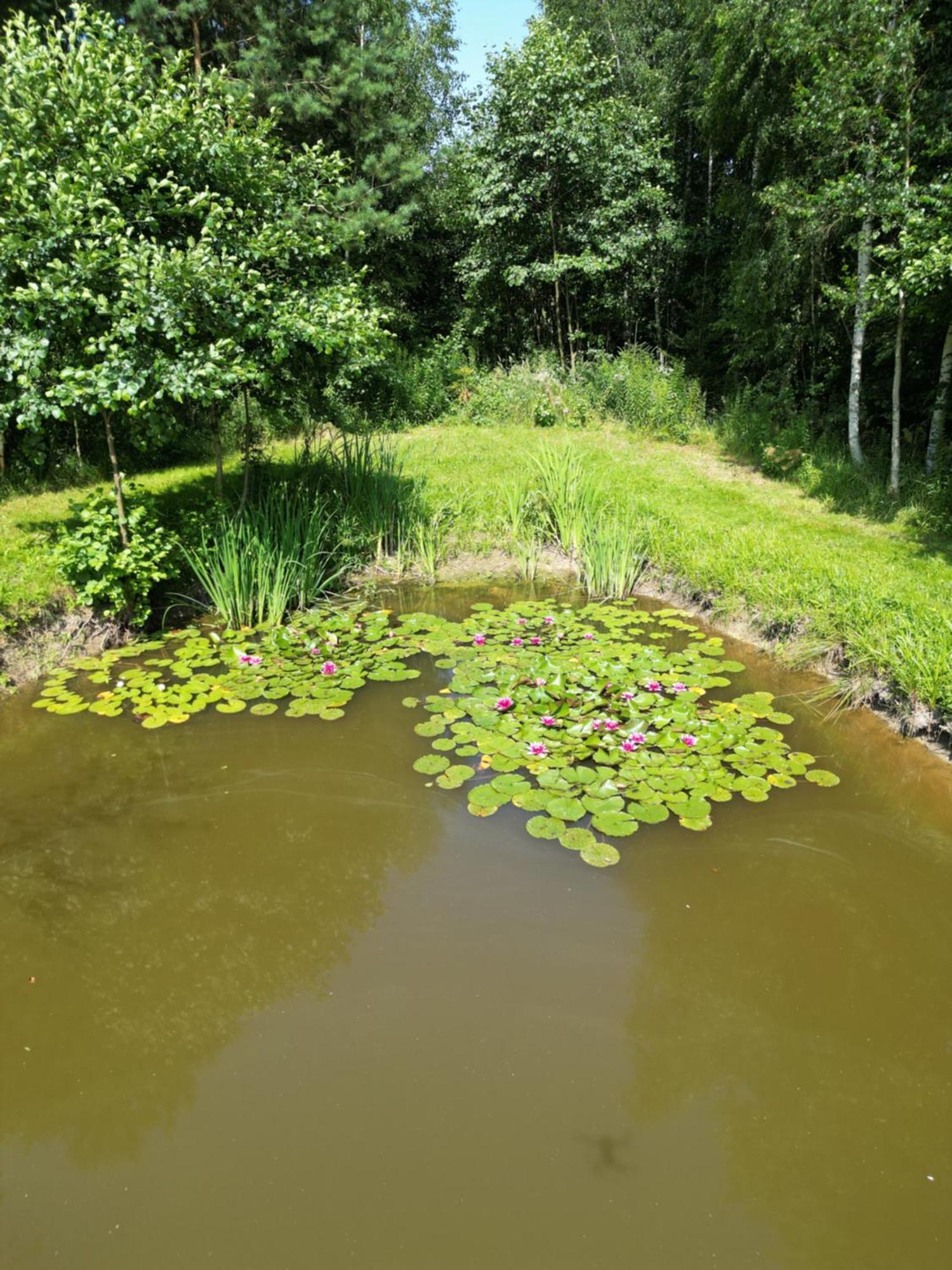 Agroturystyka Sajkiewicz Suchowola  Exteriér fotografie